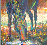 mangalarga marchador